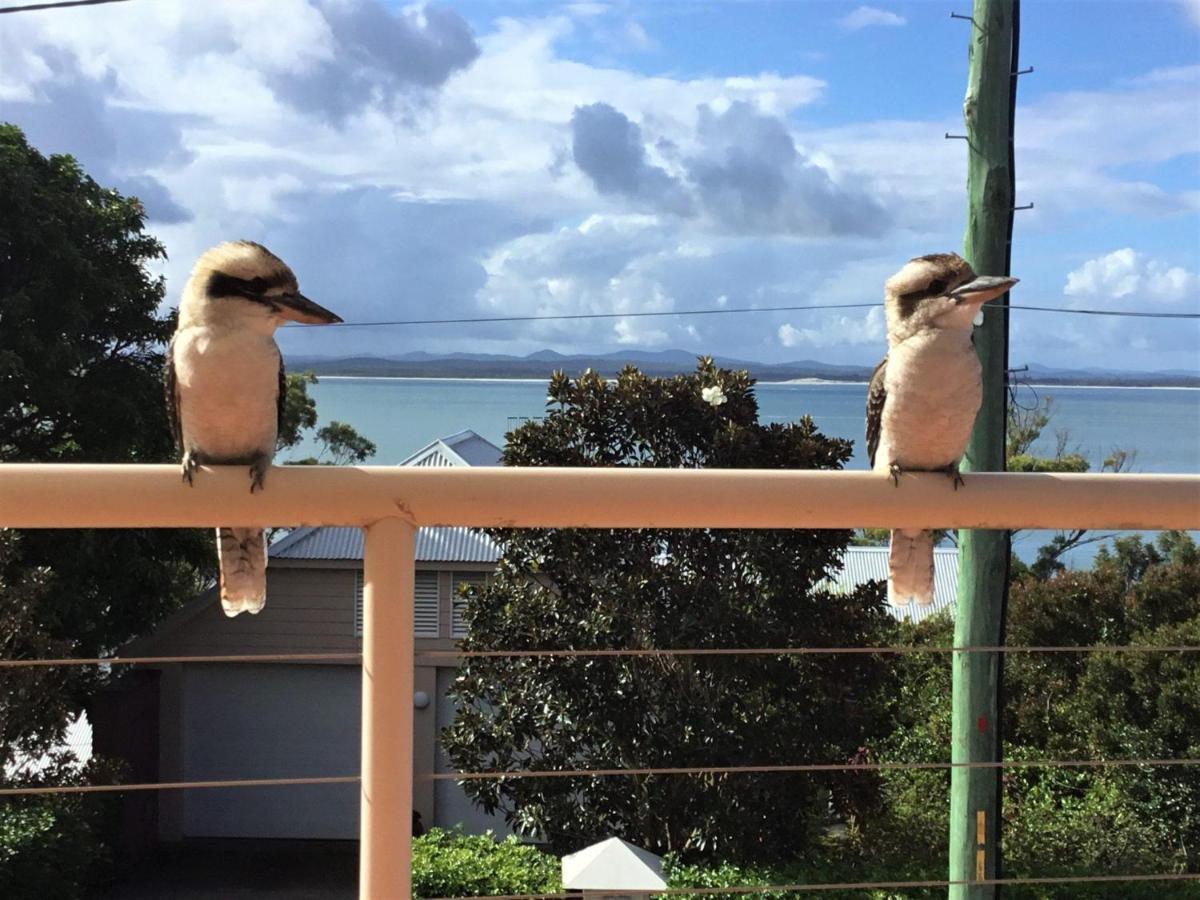 Dutchie'S Sand & Sea Beach House - Easy Walk To The Beach Nelson Bay Luaran gambar